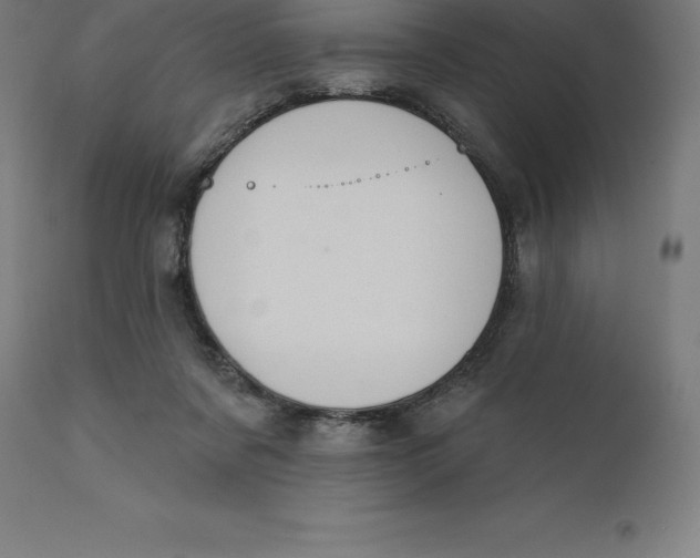 X0000110700311200907022004