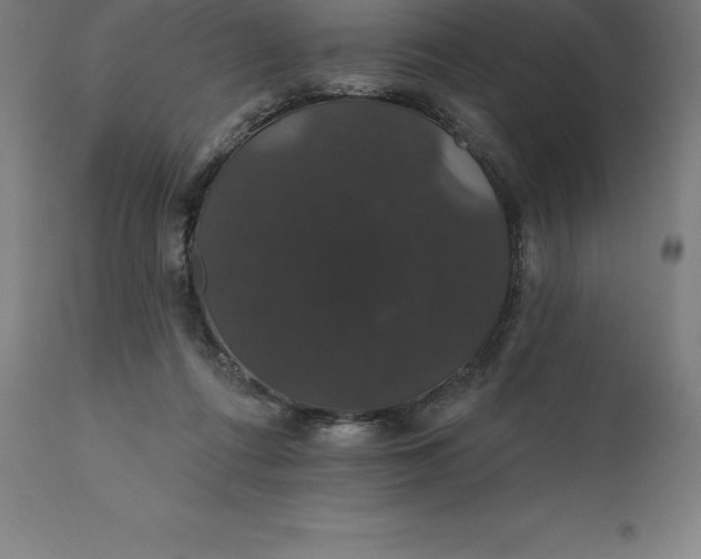 X0000110700312200907022004
