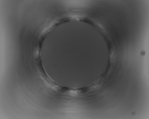 X0000110700314200907022004