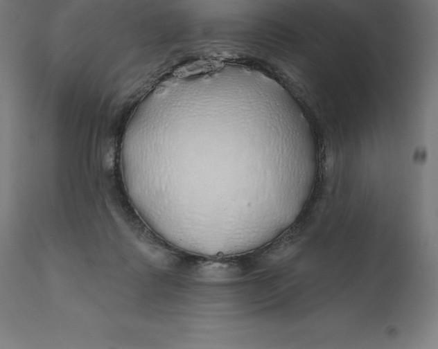 X0000110700315200907022004