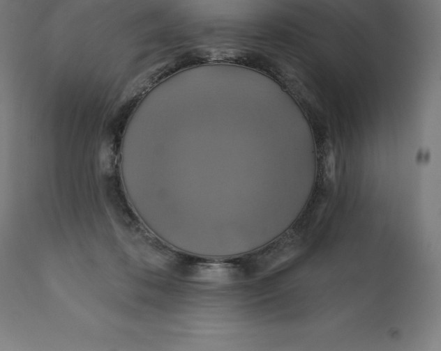X0000110700316200907022004