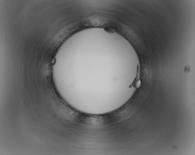 X0000110700317200907022004