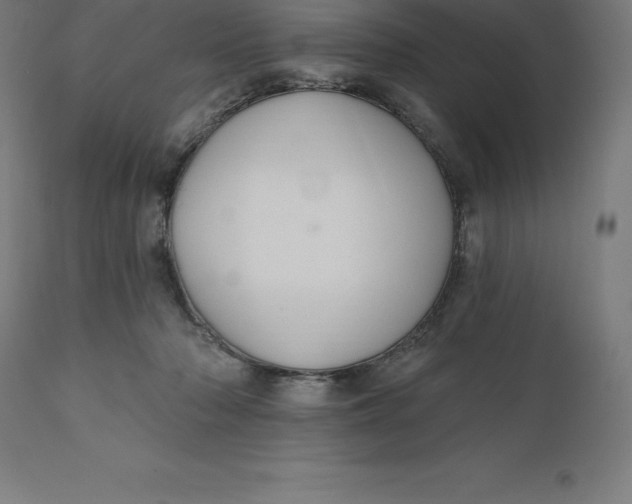 X0000110700318200907022004