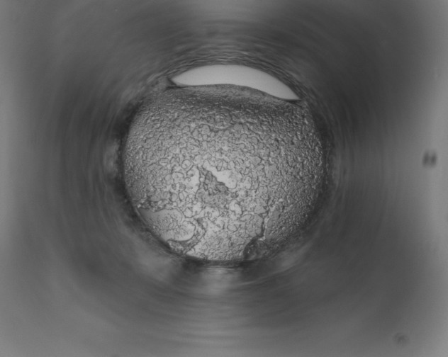 X0000110700319200907022004