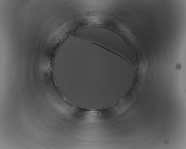 X0000110700320200907022004