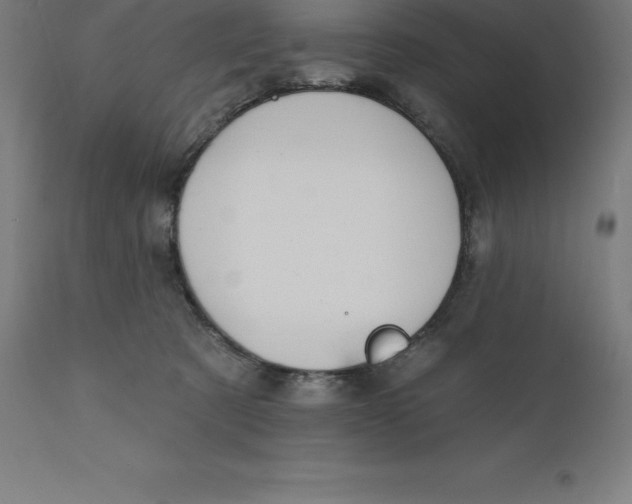 X0000110700321200907022004