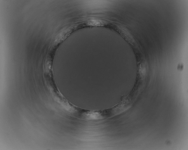 X0000110700322200907022004