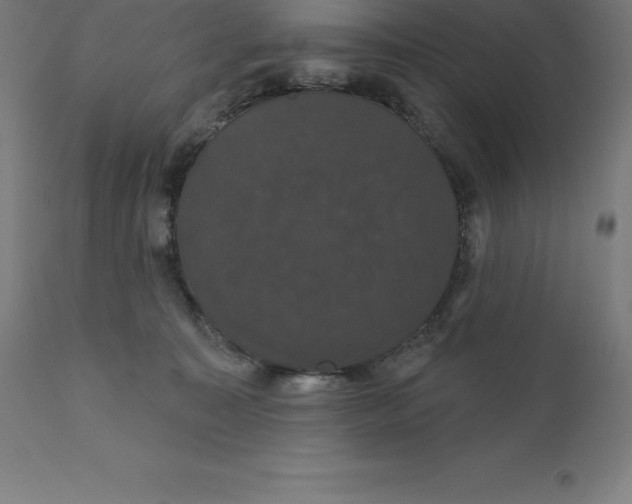 X0000110700323200907022004