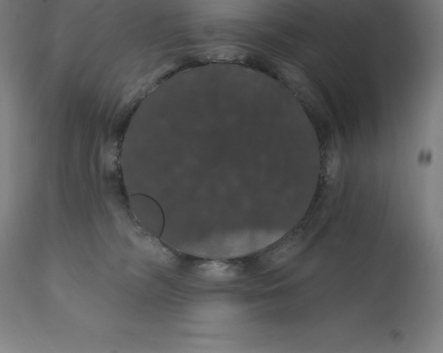 X0000110700326200907022004