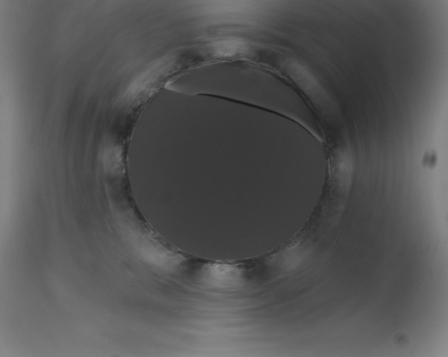 X0000110700327200907022004