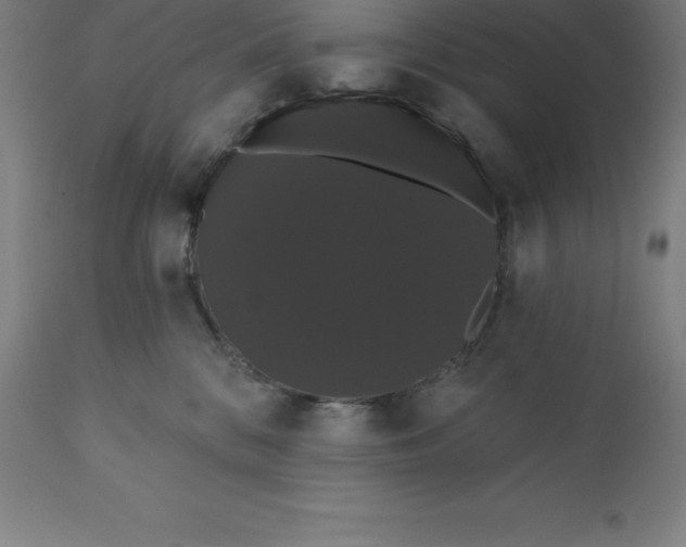 X0000110700328200907022004