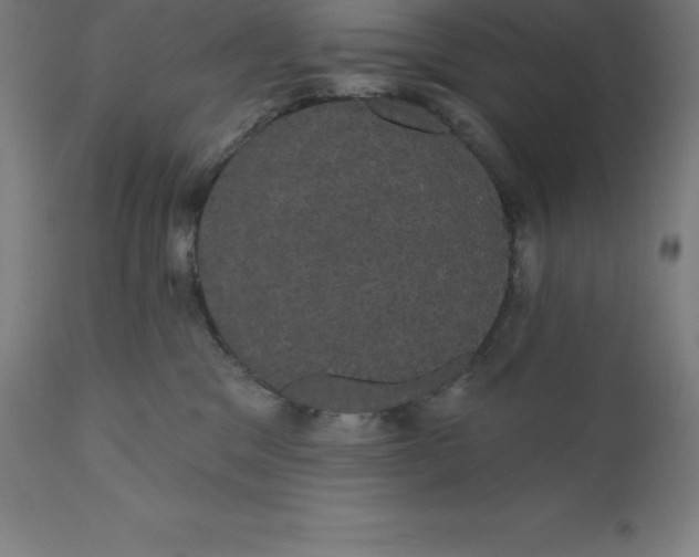 X0000110700329200907022004