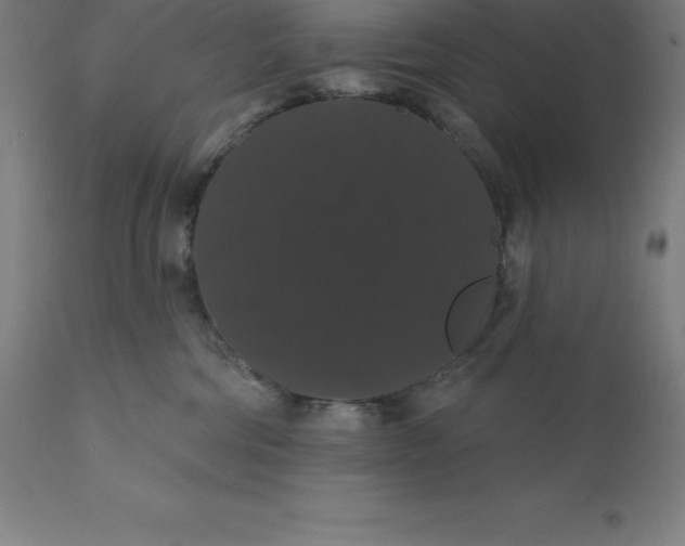 X0000110700330200907022004