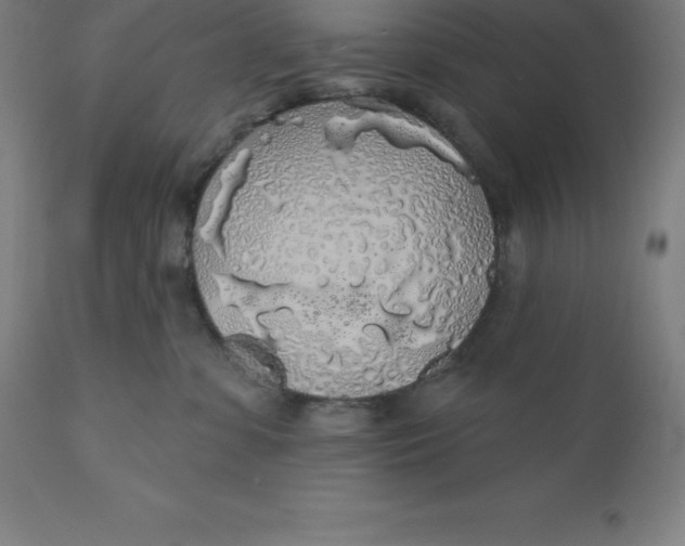 X0000110700331200907022004