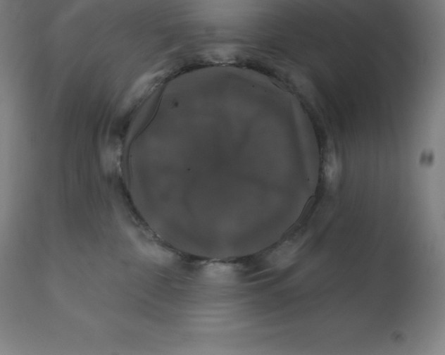 X0000110700332200907022004