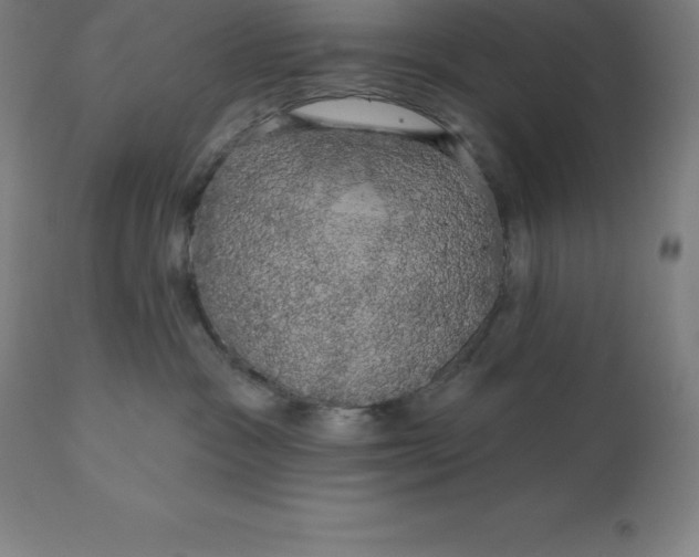 X0000110700333200907022004