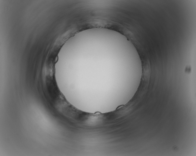 X0000110700334200907022004
