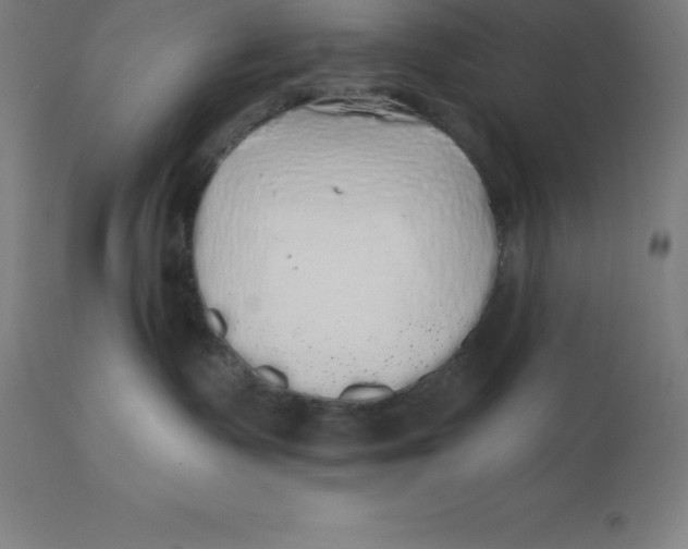 X0000110700335200907022004