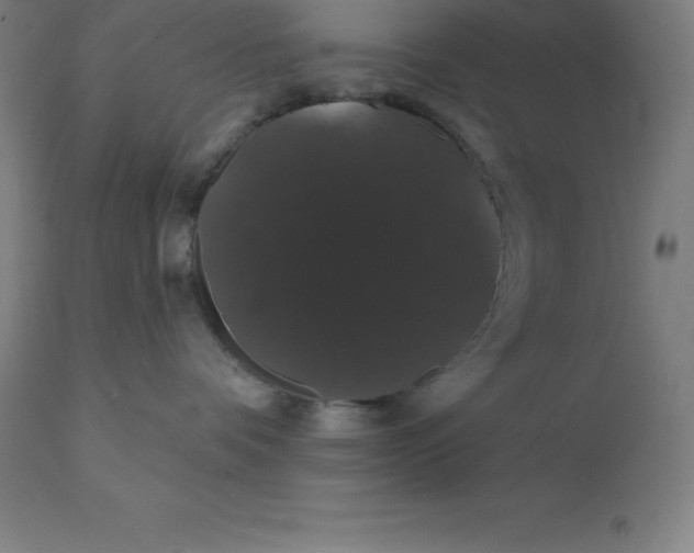 X0000110700336200907022004
