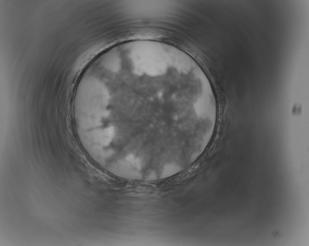 X0000110700337200907022003