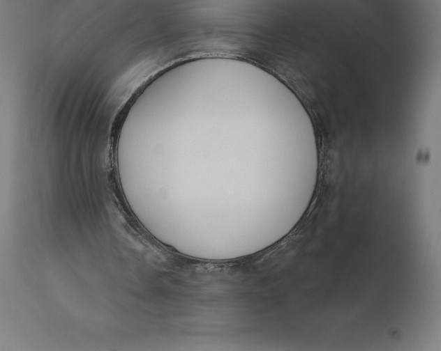 X0000110700338200907022003