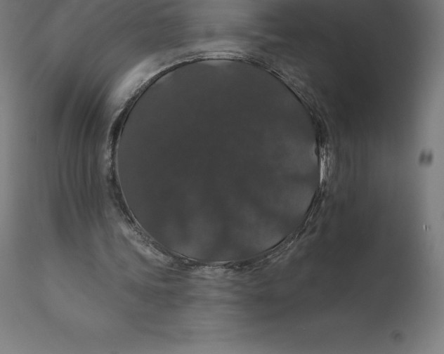 X0000110700339200907022003