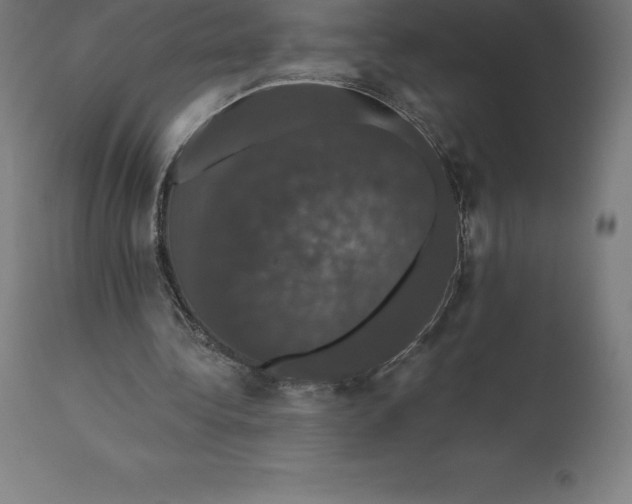 X0000110700340200907022003