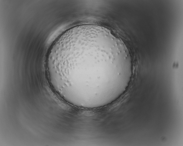 X0000110700341200907022003