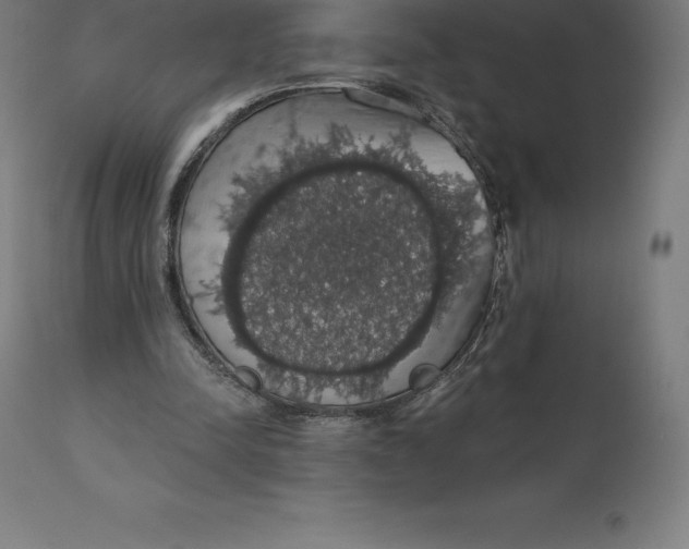 X0000110700342200907022003