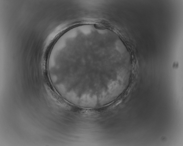 X0000110700343200907022003