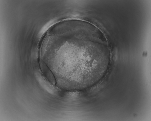 X0000110700344200907022003