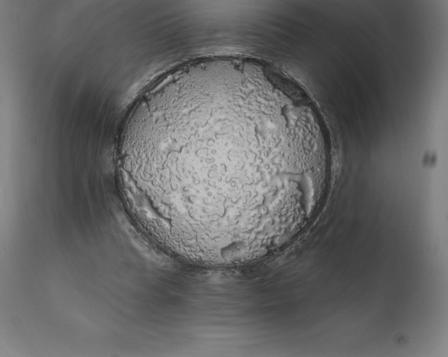 X0000110700345200907022003