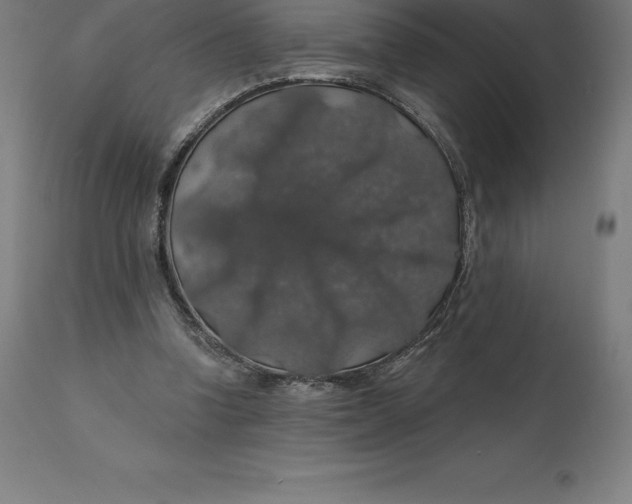 X0000110700346200907022003