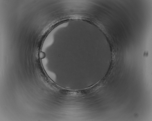 X0000110700347200907022003