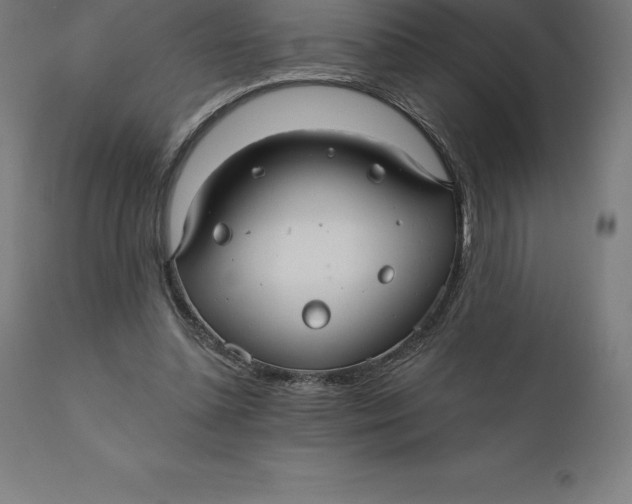 X0000110700348200907022003