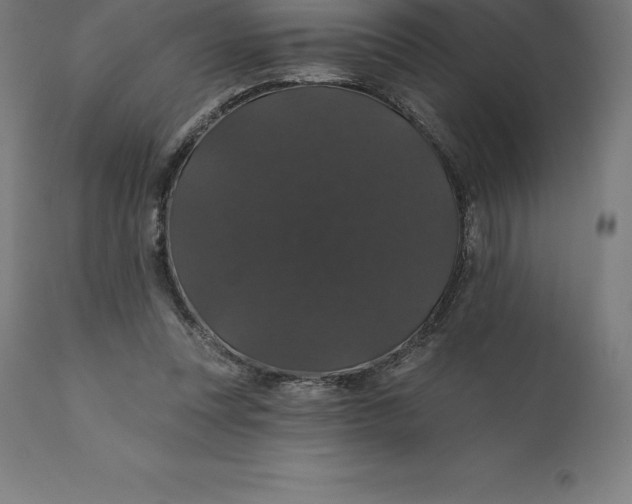 X0000110700351200907022003