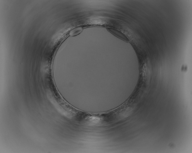 X0000110700352200907022003