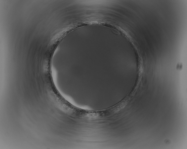 X0000110700353200907022003