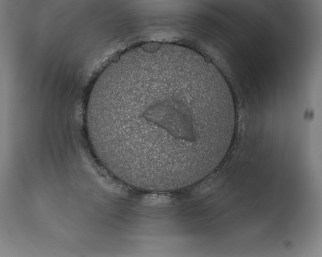 X0000110700354200907022003