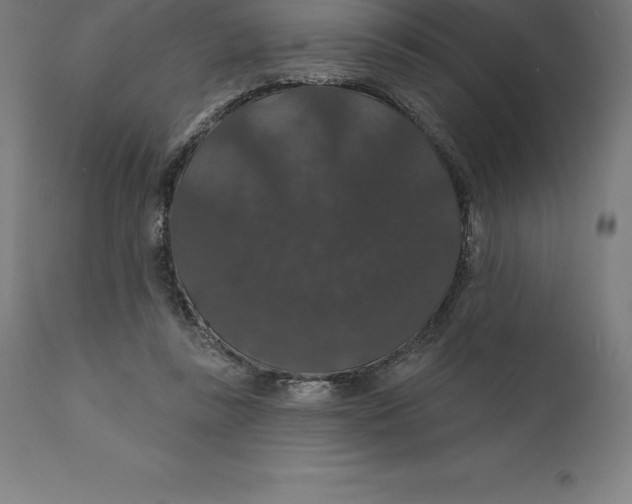 X0000110700355200907022003