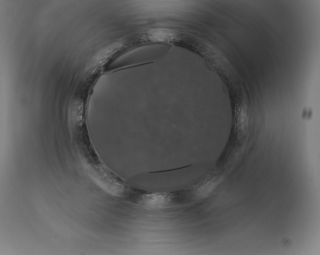 X0000110700356200907022003