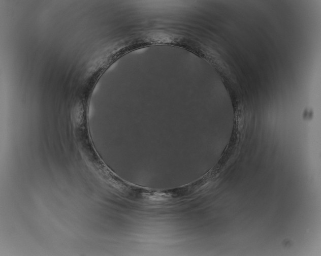 X0000110700359200907022003