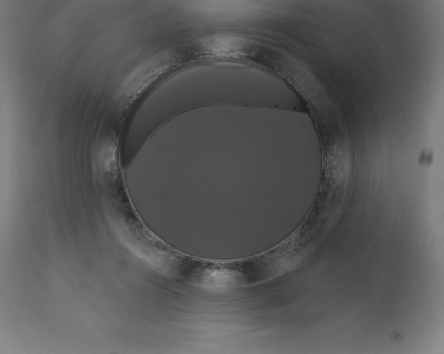X0000110700360200907022003
