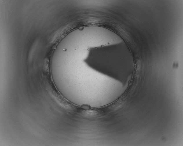 X0000110700361200907022003