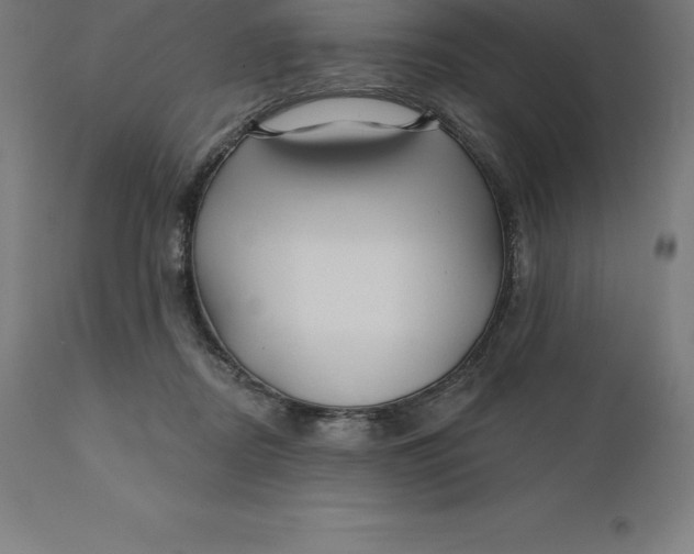 X0000110700362200907022003