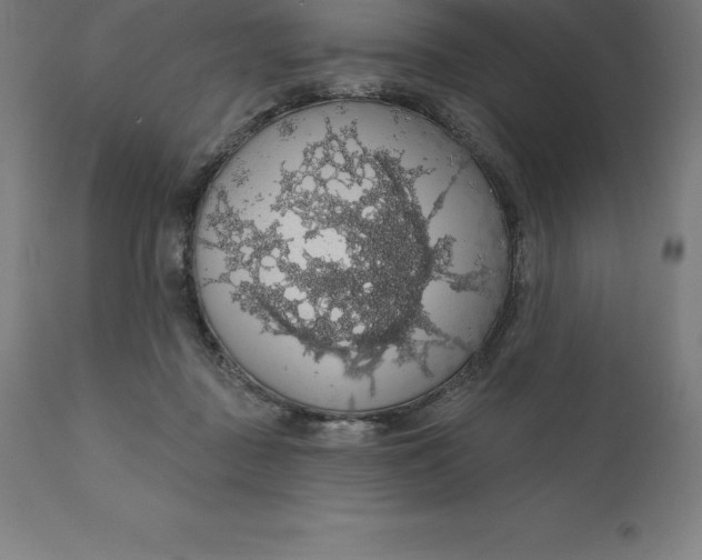 X0000110700363200907022003