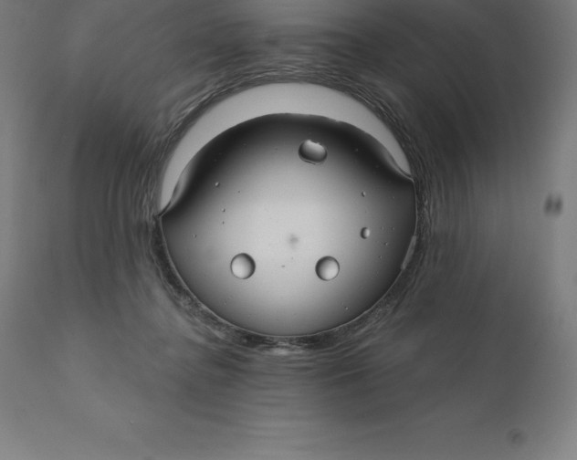 X0000110700364200907022003
