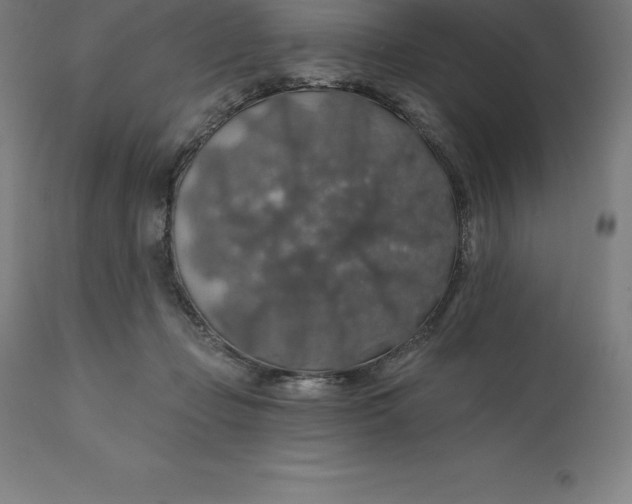 X0000110700365200907022003