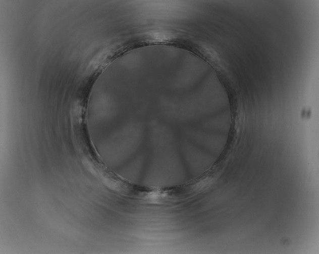 X0000110700366200907022003