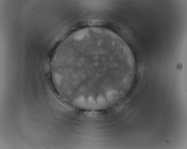 X0000110700367200907022003